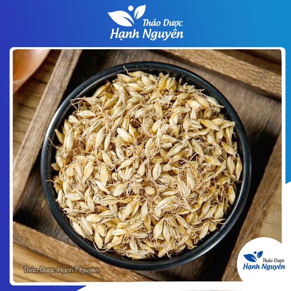 Mạch nha 100gr (Lúa Mạch) | Shopee Việt Nam