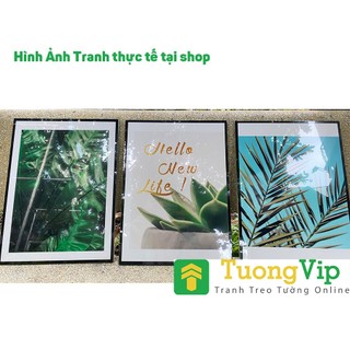 Tranh Treo Tường Xương Rồng - Tranh Hoa Lá Treo Phòng Khách, Phòng Ngủ, Hành Lang Laminate Tráng Gương
