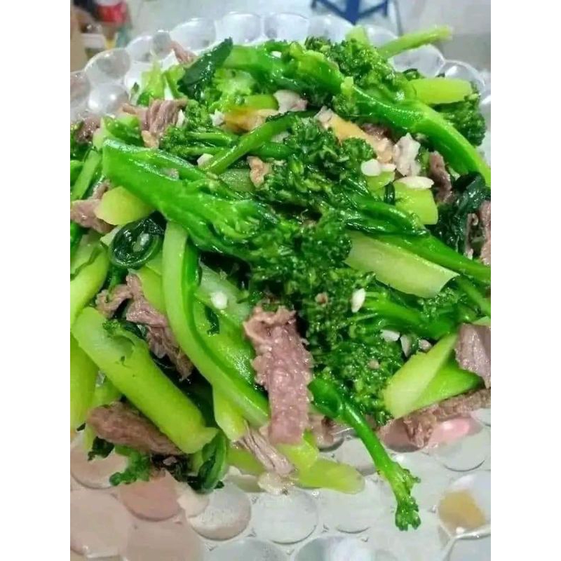 0,1 gam hạt giống suplo xanh 💥Nảy Mầm Cực Đỉnh💥 siêu năng suất