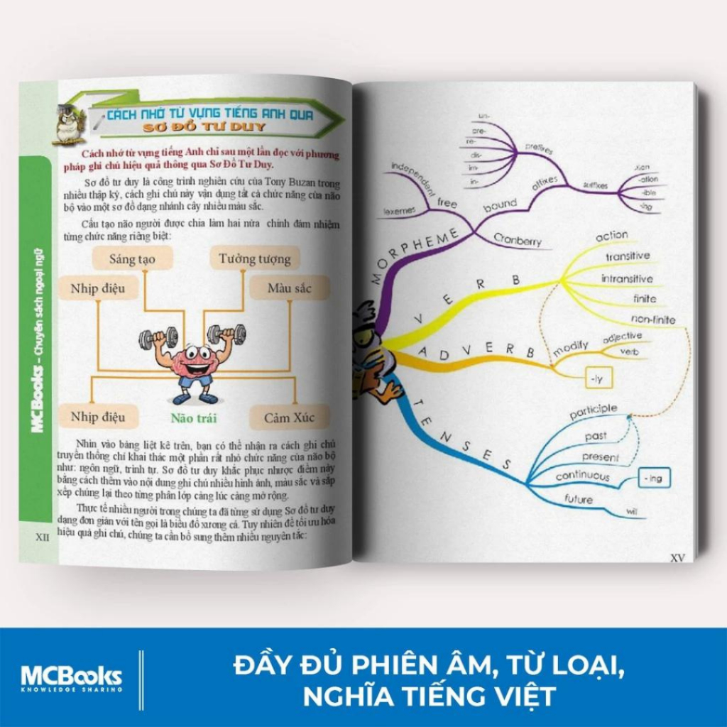 Sách - 3000 Từ Vựng Tiếng Anh Thông Dụng Nhất - Dành Cho Người Học Cơ Bản