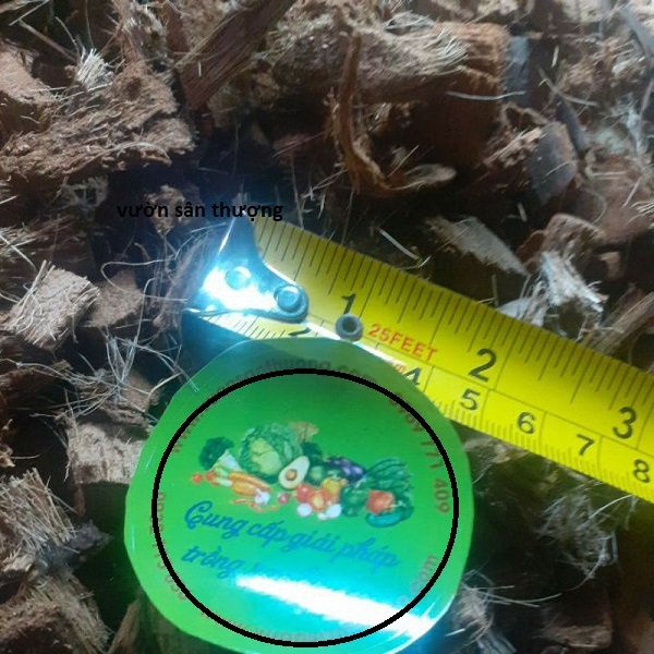 Gói 500g Xơ Dừa Cục 1-2 cm Trồng Cây Nội Thất, Cây Chơi Lá, Che Chậu, Trộn Đất