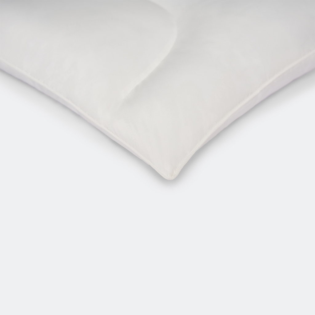 Ảnh Ruột gối nâng đỡ, bảo vệ cổ vai gáy Everon OC (kích thước 45x65 OC, cao 10cm) 1