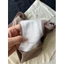 Quần lót nữ su 7A chất liệu su lạnh, mềm mịn, mặc như không mặc, không nhão, không xù, không lộ viền