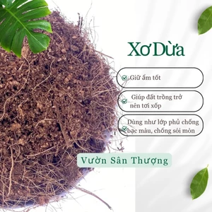 Gói 1kg Xơ Dừa Trộn Đất Trồng Cây, Rau, Củ, Quả, Hoa,...