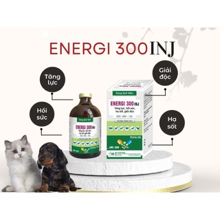 VB Pharma ENERGI 300 INJ chai 100 ml tăng lực hồi sức hạ sốt giải độc cho vật nuôi chó mèo heo bò gà