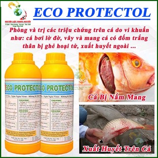 Chất Diệt Nấm, Ghẻ, Xuất Huyết Trên Cá, Diệt Khuẩn, Kí Sinh Trùng Ao Tôm, Protectol chai 1000ml