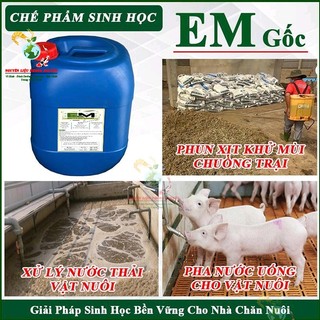 Chế Phẩm Sinh Học EM Gốc Can 20 lít, Xử Lý Nước Ao Nuôi Tôm Cá, Ủ Thức Ăn, Khử Mùi Chuồng Trại, Ủ Phân Cá, Đậu Nành