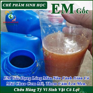 Chế Phẩm Sinh Học EM Gốc Can 20 lít, Xử Lý Nước Ao Nuôi Tôm Cá, Ủ Thức Ăn, Khử Mùi Chuồng Trại, Ủ Phân Cá, Đậu Nành