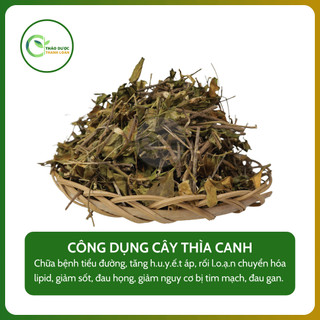 1kg CÂY THÌA CANH (Dây muối, lõa ti rừng) tốt cho người tiểu đường | Dược liệu Thanh Loan