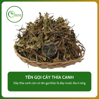1kg CÂY THÌA CANH (Dây muối, lõa ti rừng) tốt cho người tiểu đường | Dược liệu Thanh Loan