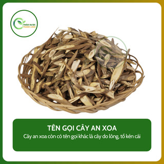 1kg THÂN AN XOA (Cây do lông, tổ kén cái) xơ gan cổ trướng, tăng cường chức năng gan | Dược liệu Thanh Loan