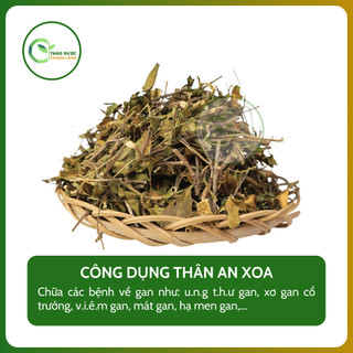 1kg THÂN AN XOA (Cây do lông, tổ kén cái) xơ gan cổ trướng, tăng cường chức năng gan | Dược liệu Thanh Loan