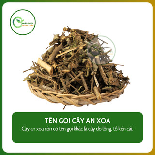 1kg LÁ AN XOA (Cây dó lông, tổ kén cái) thanh lọc cơ thể | Dược liệu Thanh Loan