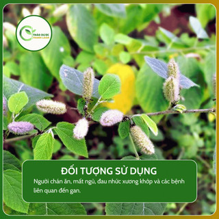 1kg LÁ AN XOA (Cây dó lông, tổ kén cái) thanh lọc cơ thể | Dược liệu Thanh Loan