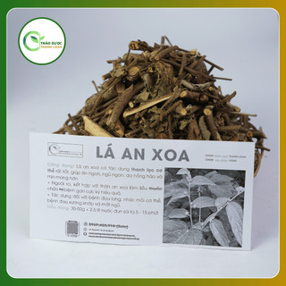 1kg LÁ AN XOA (Cây dó lông, tổ kén cái) thanh lọc cơ thể | Dược liệu Thanh Loan