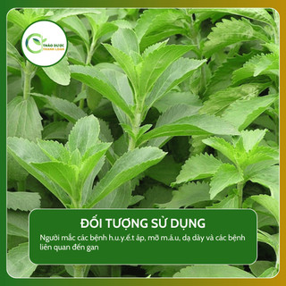 1kg CÂY CỎ NGỌT (Cây cúc ngọt, cây cỏ đường) ổn định h.u.y.ế.t áp, lợi tiểu | Dược liệu Thanh Loan