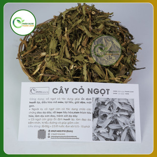 1kg CÂY CỎ NGỌT (Cây cúc ngọt, cây cỏ đường) ổn định h.u.y.ế.t áp, lợi tiểu | Dược liệu Thanh Loan