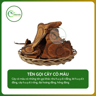 1kg CÂY CỎ M.Á.U (Cây h.u.y.ế.t đằng, đại hoàng đằng) bổ khí h.u.y.ế.t | Dược liệu Thanh Loan