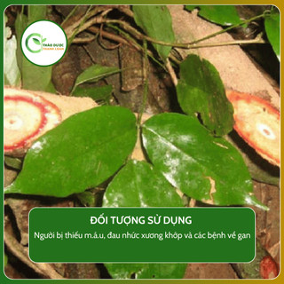 1kg CÂY CỎ M.Á.U (Cây h.u.y.ế.t đằng, đại hoàng đằng) bổ khí h.u.y.ế.t | Dược liệu Thanh Loan