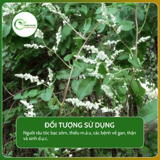 1kg CỦ HÀ THỦ Ô (ĐỎ) (Dạ giao đằng, má ỏn) nhuận tràng, bổ h.u.y.ế.t | Dược liệu Thanh Loan