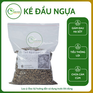 1kg CÂY KÉ ĐẦU NGỰA (Xương nhĩ, thương nhĩ tử) giảm đau, hạ sốt | Dược liệu Thanh Loan