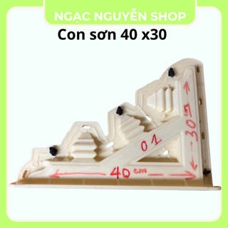 Khuôn đúc con sơn các loại nhựa abs hàng dày dặn kích thước tùy chọn 30x40, 35x45, 40x50, 40x45