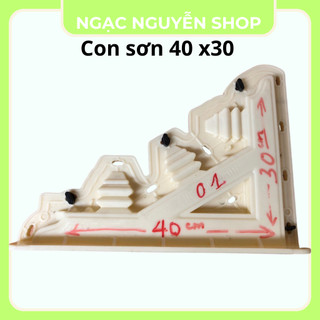 Khuôn đúc con sơn các loại nhựa abs hàng dày dặn kích thước tùy chọn 30x40, 35x45, 40x50, 40x45