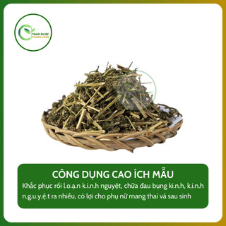 1kg CÂY CAO ÍCH MẪU (Cây chói đèn, cây sung úy) điều hoà kinh nguyệt | Dược liệu Thanh Loan