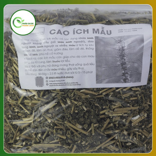 1kg CÂY CAO ÍCH MẪU (Cây chói đèn, cây sung úy) điều hoà kinh nguyệt | Dược liệu Thanh Loan