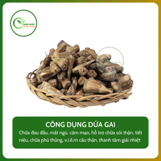 1kg DỨA GAI (Dứa gỗ, dứa núi) chữa sỏi thận, tiết niệu | Dược liệu Thanh Loan