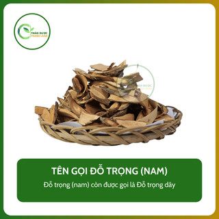 1kg ĐỖ TRỌNG NAM (Đỗ trọng dây) chữa đau lưng mỏi gối | Dược liệu Thanh Loan
