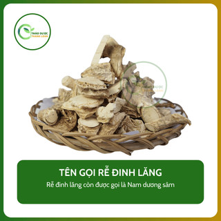 1kg RỄ ĐINH LĂNG (Nam dương sâm) tăng sức dẻo dai, lợi tiểu | Dược liệu Thanh Loan