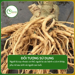 1kg RỄ ĐINH LĂNG (Nam dương sâm) tăng sức dẻo dai, lợi tiểu | Dược liệu Thanh Loan