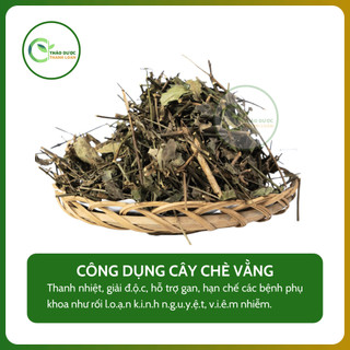 1kg CÂY CHÈ VẰNG (Cẩm văn, Dây vắng, Mỏ quạ) thanh nhiệt, mát gan | Dược liệu Thanh Loan
