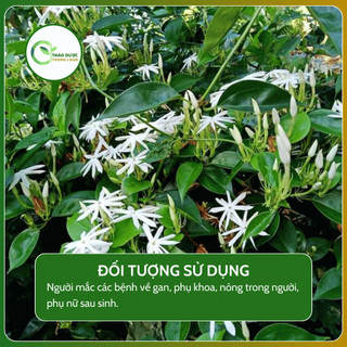 1kg CÂY CHÈ VẰNG (Cẩm văn, Dây vắng, Mỏ quạ) thanh nhiệt, mát gan | Dược liệu Thanh Loan
