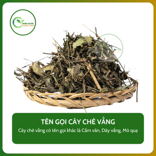 1kg CÂY CHÈ VẰNG (Cẩm văn, Dây vắng, Mỏ quạ) thanh nhiệt, mát gan | Dược liệu Thanh Loan