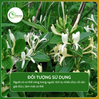 1kg TRÀ SƠN MẬT HỒNG SÂM (Trà dây, cỏ ngọt, hoa nhài, kim ngân, lương phấn thảo) | Dược liệu Thanh Loan