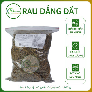 1kg RAU ĐẮNG ĐẤT (thực vật có hoa thuộc họ Bình cu) nhuận gan, thông tiện | Dược liệu Thanh Loan