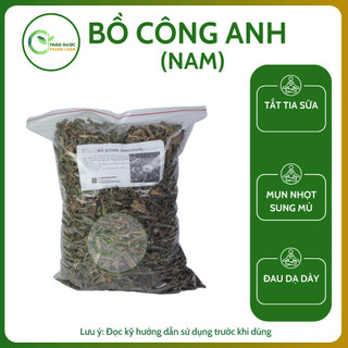 1kg BỒ CÔNG ANH (NAM) (Diếp hoang, rau bồ cóc) chữa tắc tia sữa, mụn nhọt | Dược liệu Thanh Loan