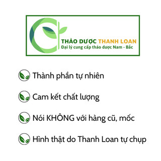 1kg BỒ CÔNG ANH (NAM) (Diếp hoang, rau bồ cóc) chữa tắc tia sữa, mụn nhọt | Dược liệu Thanh Loan