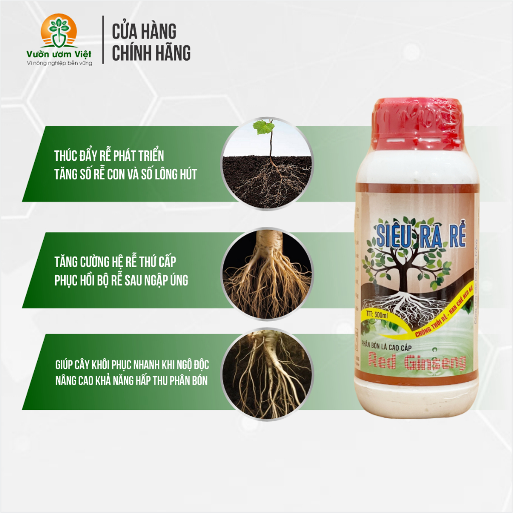Phân bón Siêu Ra Rễ - chiết suất từ nhân sâm Hàn Quốc, mát cây, kích rễ cực mạnh, rễ nhiều, ăn sâu
