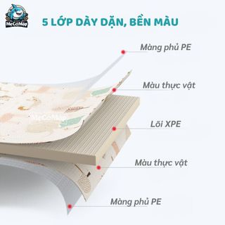 Thảm Xốp Lót Sàn XPE Pakey Siêu Êm Dày 2cm, Thảm Ghép Cho Bé Tập Bò Có Vân Chống Trượt Dễ Dàng Vệ Sinh