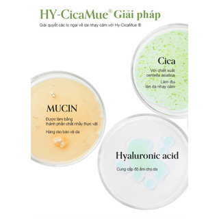 Kem dưỡng ẩm, làm dịu da dạng gel Elravie HyCicaMue Cream 50ml