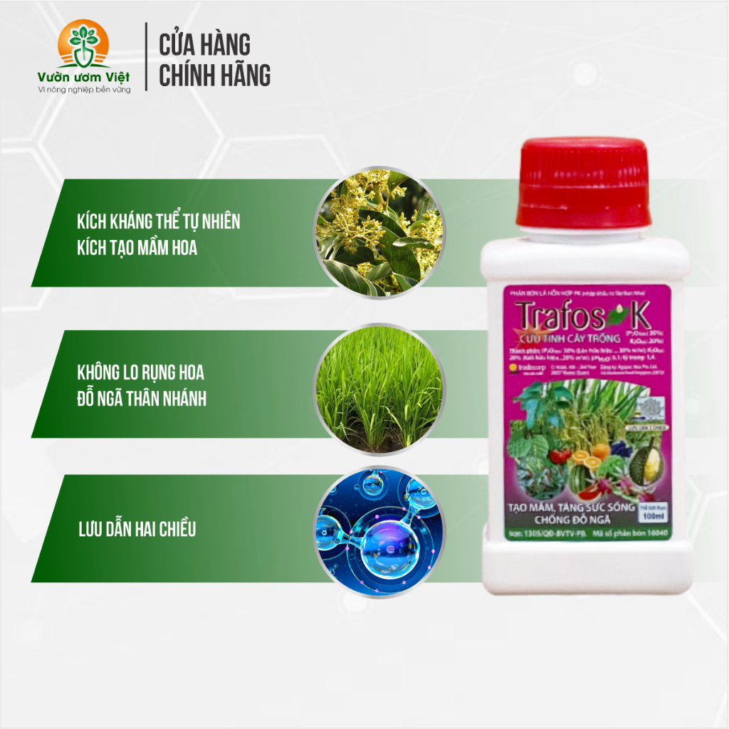 Phân bón Trafos K - tái tạo rễ, nuôi dưỡng hoa, lá xanh dày, chống vàng lá hiệu quả - 100ml