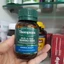 Viên bổ não Ginkgo 6000mg Thompson’s của Úc 60 viên ( Ginkgo 6K Thompson )