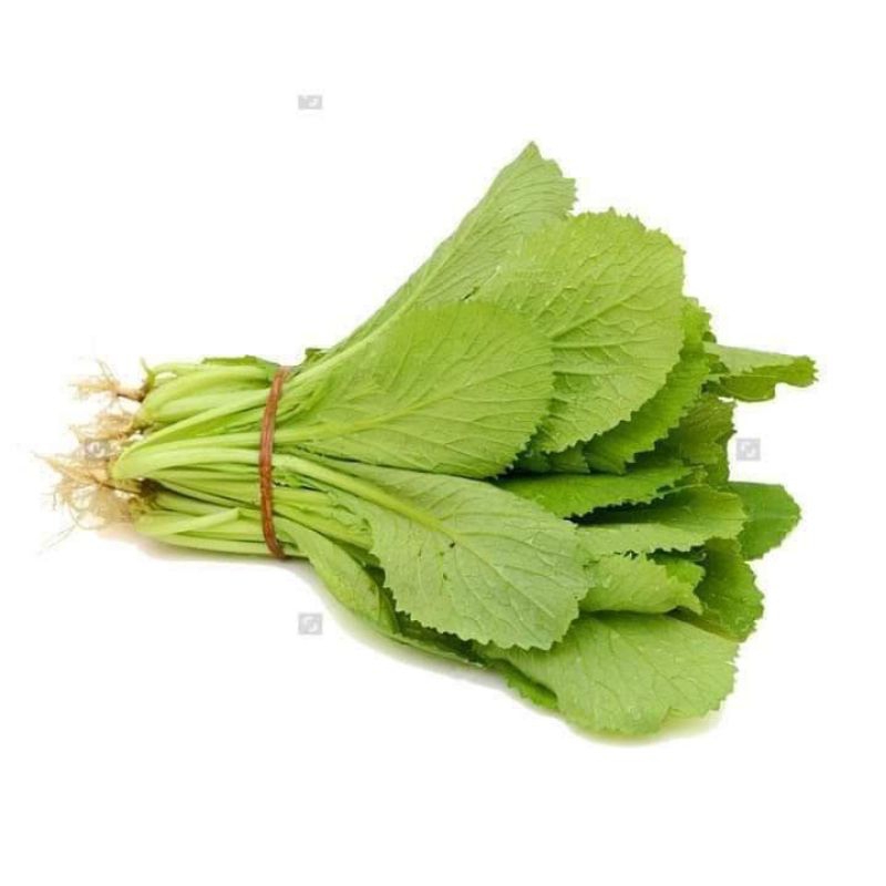 Hạt Giống Cải Mơ Chịu Nhiệt F1, Tỉa Lá Ăn Dần Năng Suất Cao.