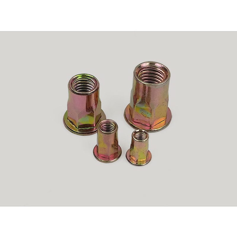 Ốc rút Tán Rút Ecu Rút Lục Giác tai lớn (100 con) | Shopee Việt Nam