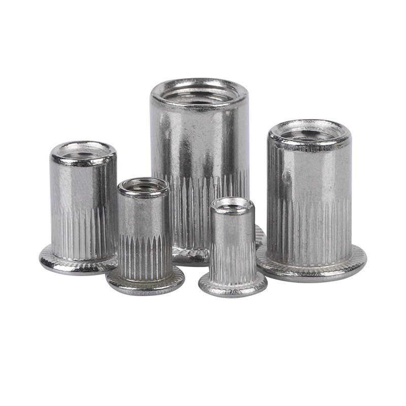 Ốc Tán Rút Ecu rút inox M3-M10 (100 con) | Shopee Việt Nam