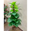 cây trầu bà leo cột giả 1m6,cây trầu bà giả, cây giả trang trí, cây giả decor
