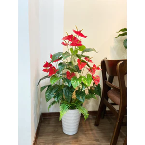 cây hồng môn yến nhân tạo cao 1m - cây giả trang trí